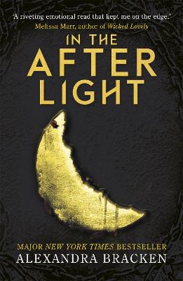 Book cover for In the Afterlight