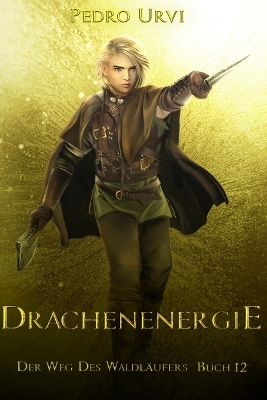Book cover for Drachenenergie