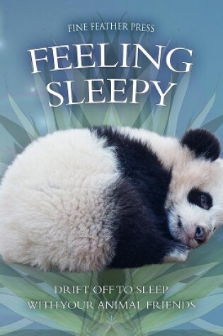 Cover of Feeling Sleepy