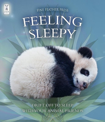 Book cover for Feeling Sleepy