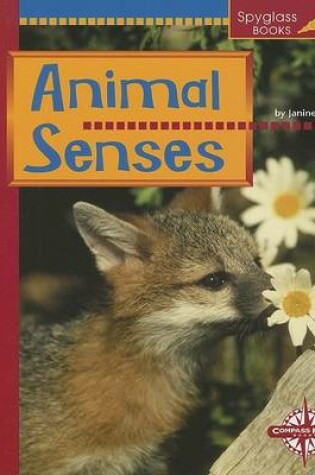 Cover of Animal Senses