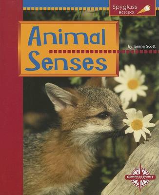 Book cover for Animal Senses