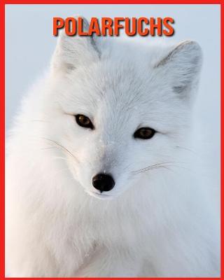 Book cover for Polarfuchs