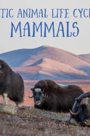 Cover of Arctic Animal Life Cycles: Mammals