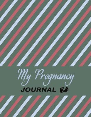 Book cover for Pregnancy Journal and Organizer