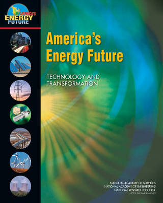 Book cover for America's Energy Future