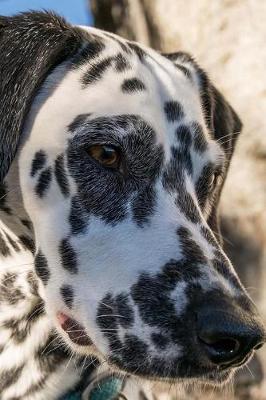 Book cover for Black and White Dalmatian Dog Journal