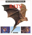 Book cover for Bats