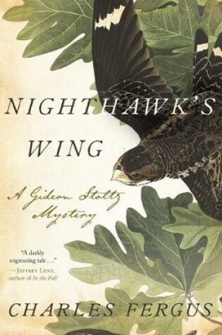 Cover of Nighthawk's Wing