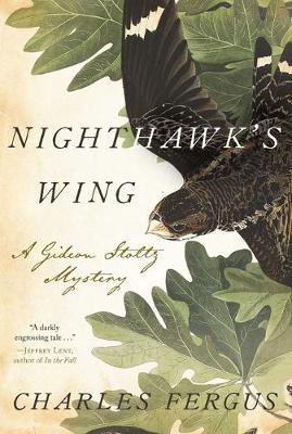 Book cover for Nighthawk's Wing