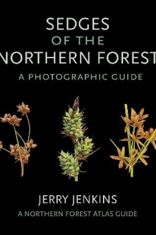 Cover of Sedges of the Northern Forest