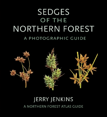 Book cover for Sedges of the Northern Forest
