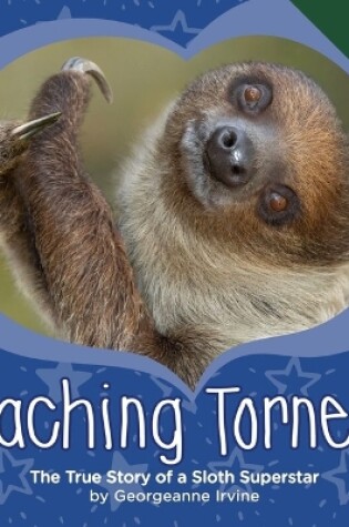 Cover of Teaching Tornero