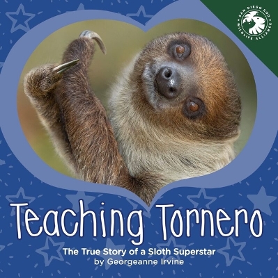Book cover for Teaching Tornero
