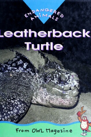 Cover of Leatherback Turtle