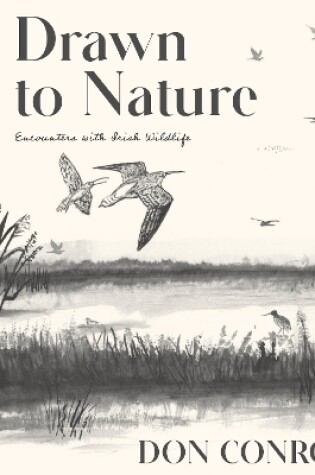 Cover of Drawn to Nature