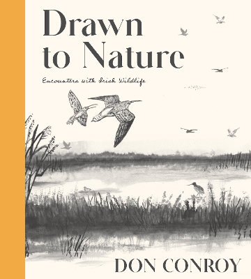 Book cover for Drawn to Nature