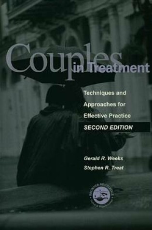 Cover of Couples in Treatment