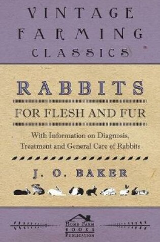 Cover of Rabbits for Flesh and Fur - With Information on Breeding, Varieties, Housing and Other Aspects of Rabbit Farming on a Smallholding