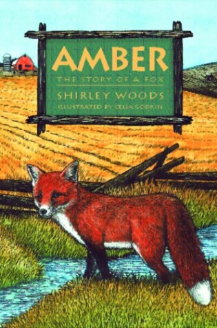 Cover of Amber