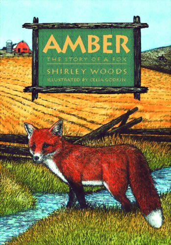 Book cover for Amber