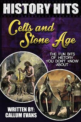 Book cover for The Fun Bits of History You Don't Know about Celts and Stone Age