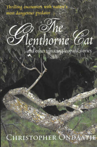 Cover of The Glenthorne Cat