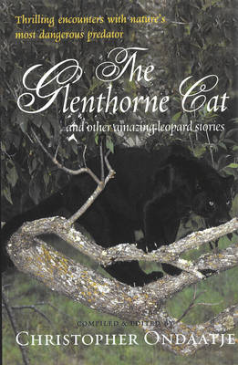 Book cover for The Glenthorne Cat