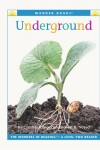 Book cover for Underground