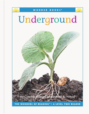 Book cover for Underground