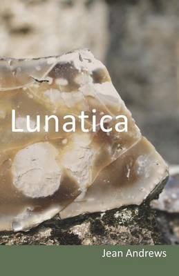 Book cover for Lunatica