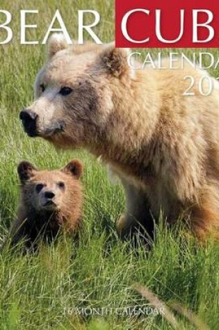 Cover of Bear Cubs Calendar 2017