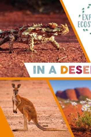 Cover of Explore Ecosystems: In a Desert