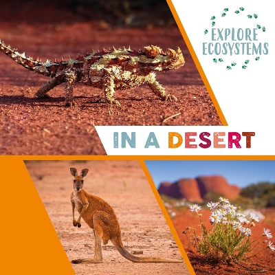 Book cover for Explore Ecosystems: In a Desert