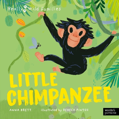 Book cover for Little Chimpanzee