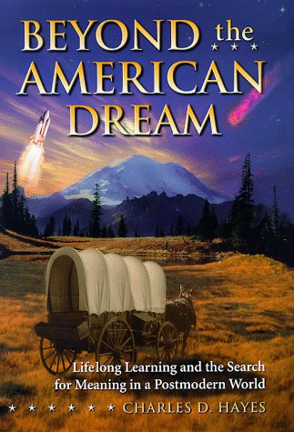 Book cover for Beyond the American Dream