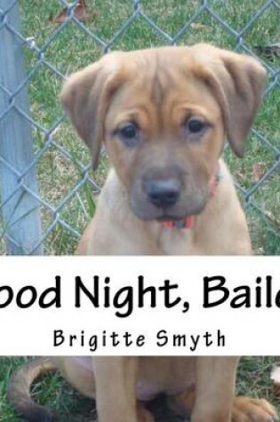 Cover of Good Night, Bailey
