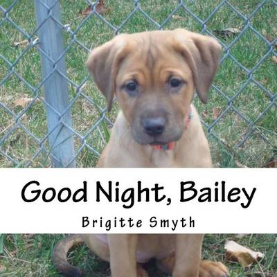 Book cover for Good Night, Bailey