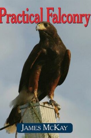 Cover of Practical Falconry