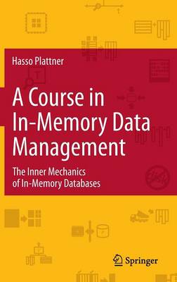 Book cover for A Course in In-memory Data Management