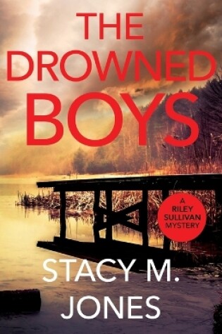 Cover of The Drowned Boys