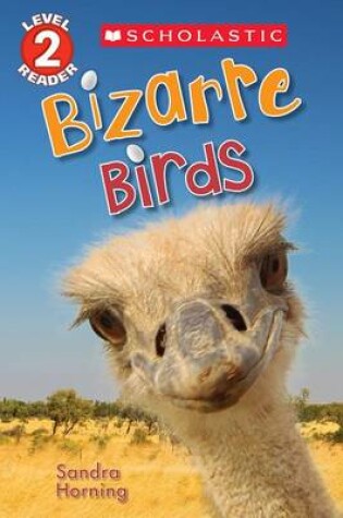 Cover of Bizarre Birds