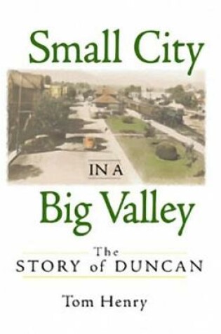 Cover of Small City in a Big Valley