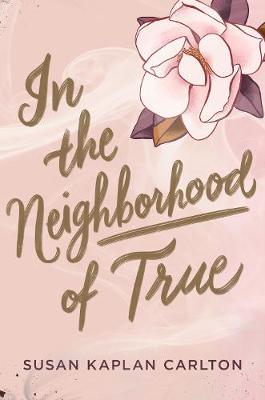 Book cover for In the Neighborhood of True