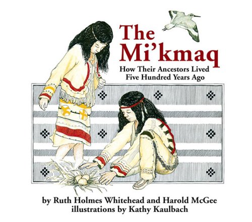 Book cover for The Micmac