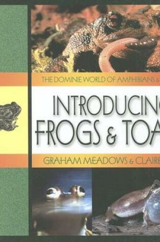 Cover of Introducing Frogs & Toads