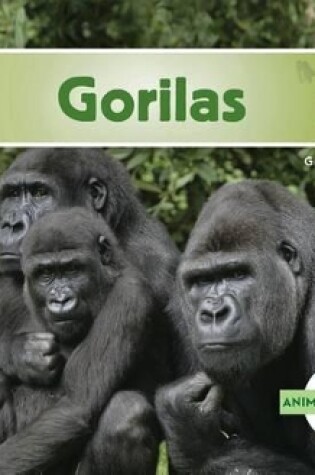 Cover of Gorilas (Gorillas)