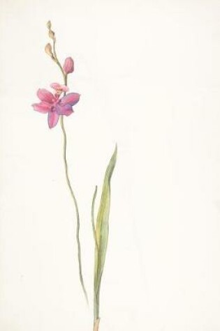 Cover of Orchids in Art Margaret Neilson Armstrong Pink Purple Orchid