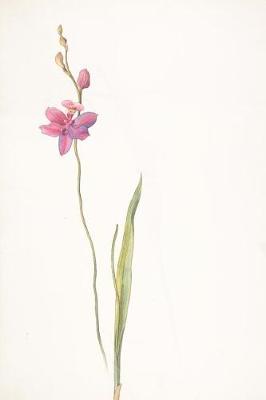 Book cover for Orchids in Art Margaret Neilson Armstrong Pink Purple Orchid