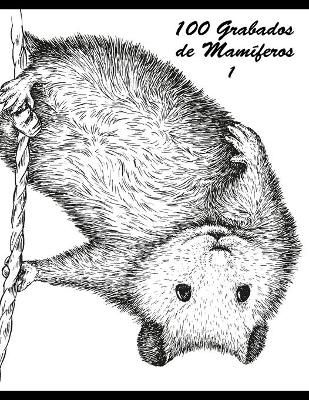 Book cover for 100 Grabados de Mamíferos 1